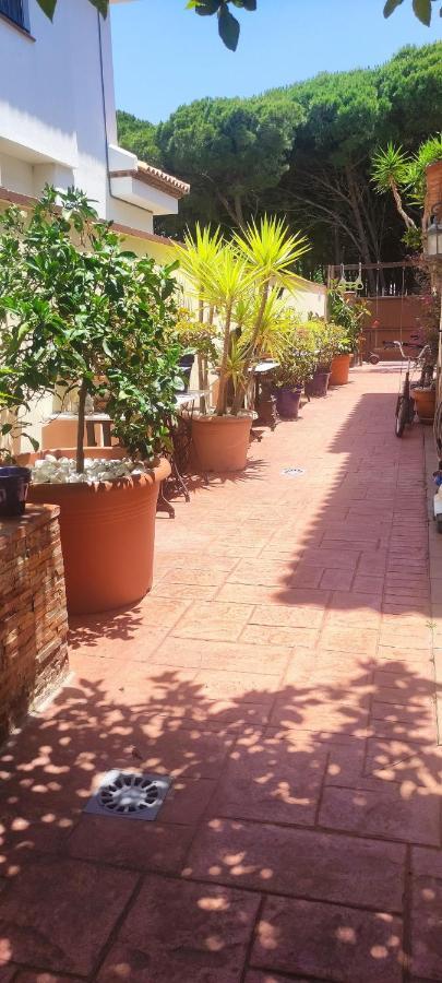 Chalet Con Capacidad Para 8 Personas Chiclana de la Frontera Exterior foto